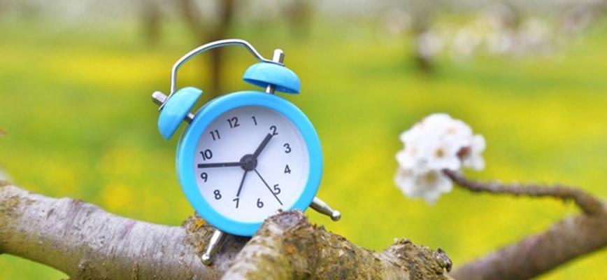 Optimal Timing for Aeration and Overseeding in Maryland and Virginia