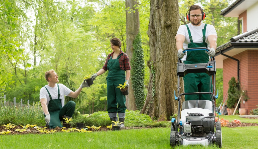 Can Lawn Care Harm Our Environment?