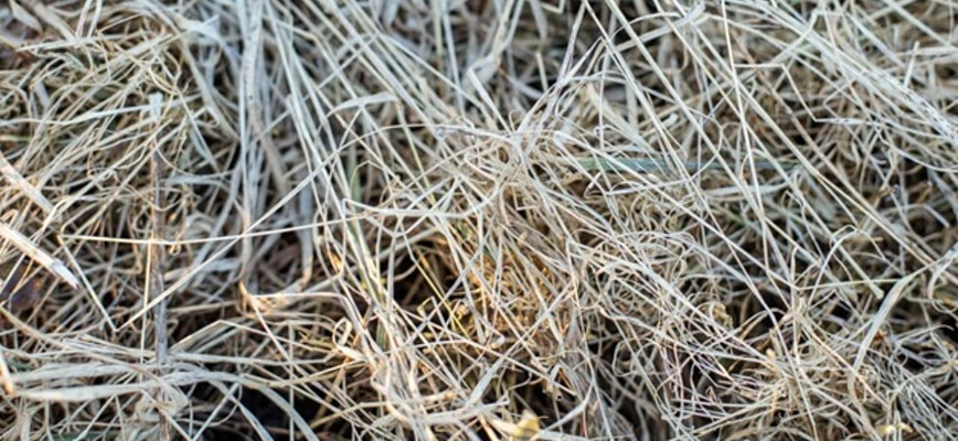 What is Heat Stress?