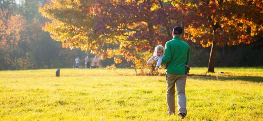 10 Methods to Recover a Heat-Stressed Lawn in Maryland