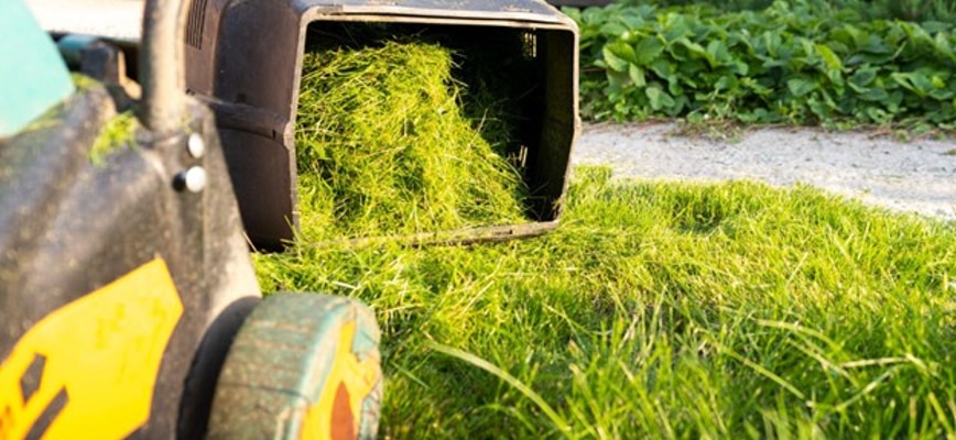 The Right Way to Ramp Up Mowing in Virginia and Maryland