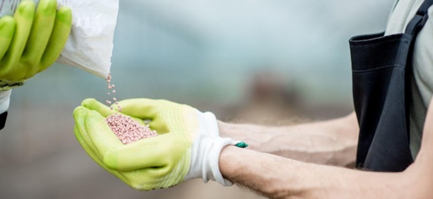 Overseeding with a Fertilizer