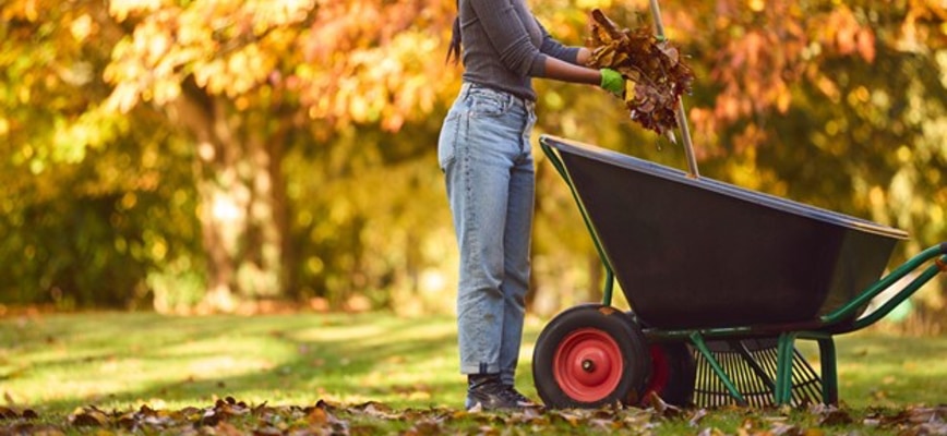 Schedule a Lawn Evaluation with Agrolawn for a Thriving Fall Turf
