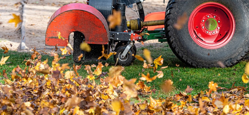 How Ramping Up Your Mowing After Summer Boosts a Lush Lawn