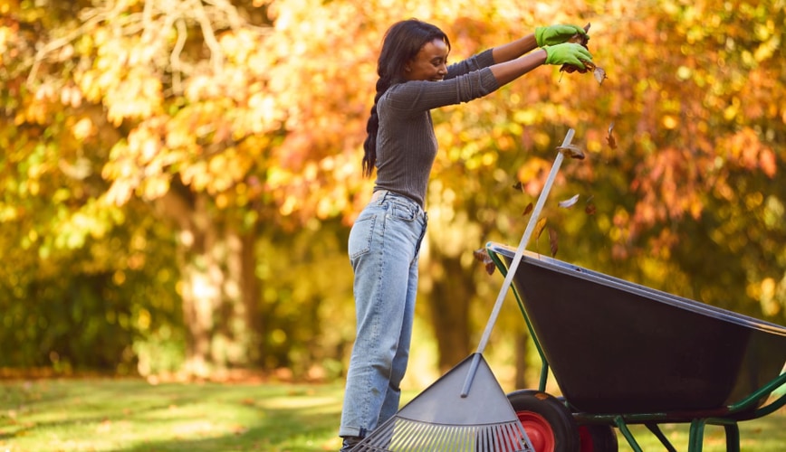 To Keep or Not Keep Leaf Litter