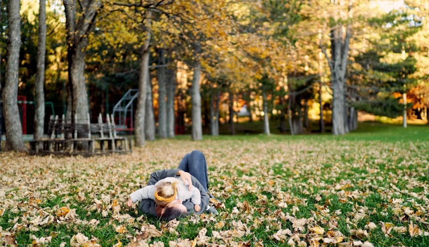 Where to Dispose of Leaf Litter