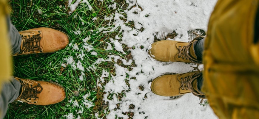 Fall Winterizer Services