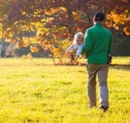 Why Fall is the Most Important Season for Lawn Growth in Maryland