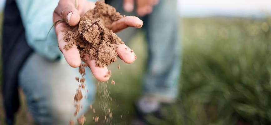 The Science Behind Your Winter Lawn Soil Activity