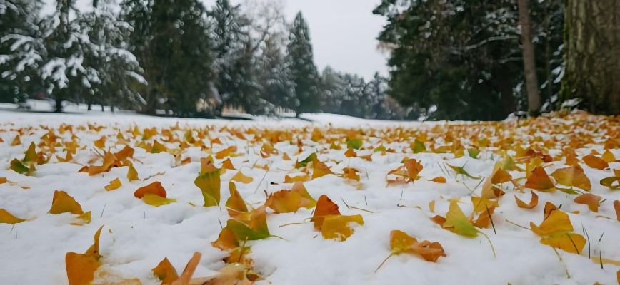 Winter Preparation Now Pays Off Later