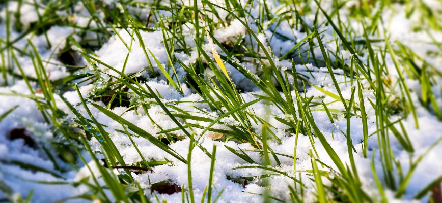 How Winter Impacts Spring and Summer Performance