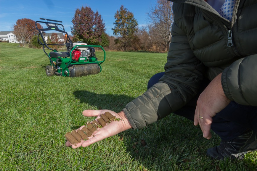 Hand holding core aeration plugs with a core aerator in the background