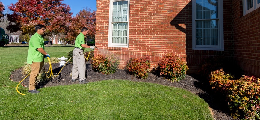 How Else Can I Prevent Lawn Pests?