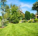 The Secret to a Crabgrass-Free Lawn: Two Pre-Emergent Applications in Spring