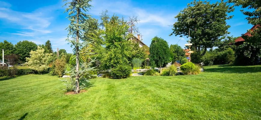 The Secret to a Crabgrass-Free Lawn: Two Pre-Emergent Applications in Spring