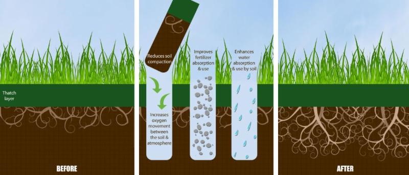 Core Aeration Process